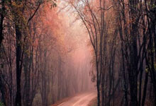 Cryptocurrency Market Analysis: What the Data Reveals - Crypto Twitter Reacts