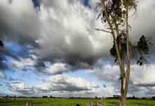 Cryptocurrency Market Analysis: What the Data Reveals - Crypto Twitter Reacts