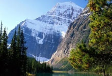 Cryptocurrency Market Analysis: What the Data Reveals - Crypto Twitter Reacts