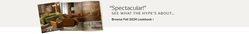 American Signature Furniture Chapter 11: A Wake-Up Call for Retail's Future?